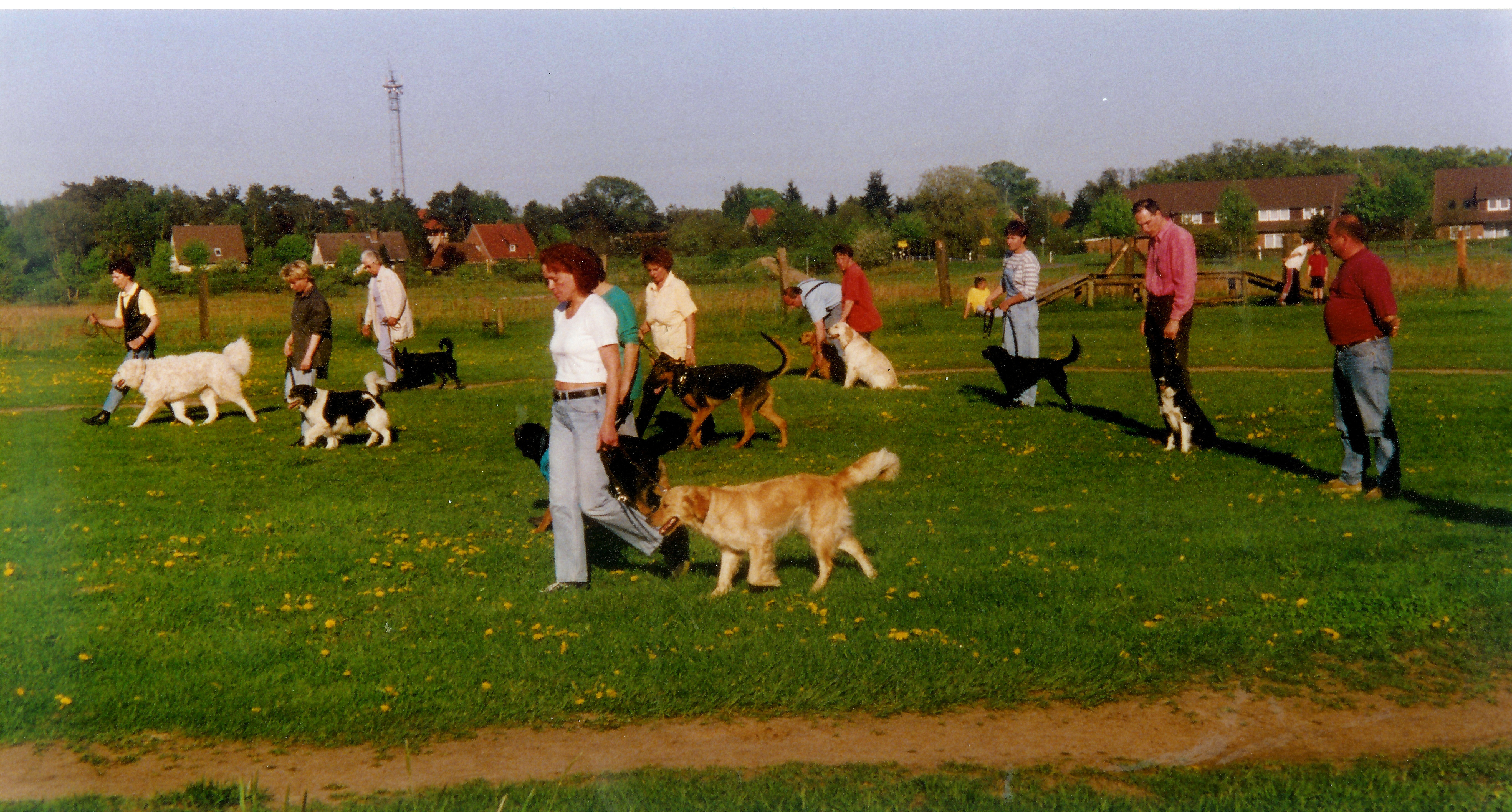Training im Sommer